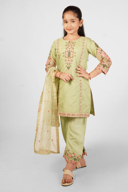 Greenish Beige Embroidered 3-Piece Suit RTWFDS-007