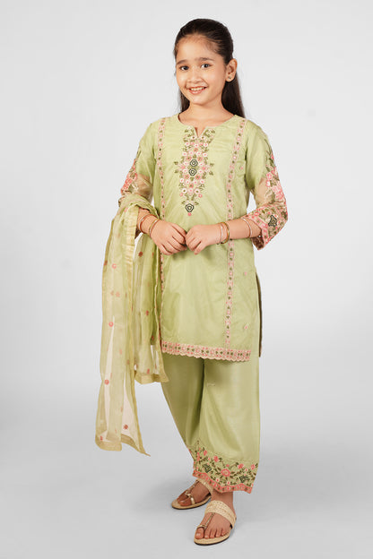 Greenish Beige Embroidered 3-Piece Suit RTWFDS-007