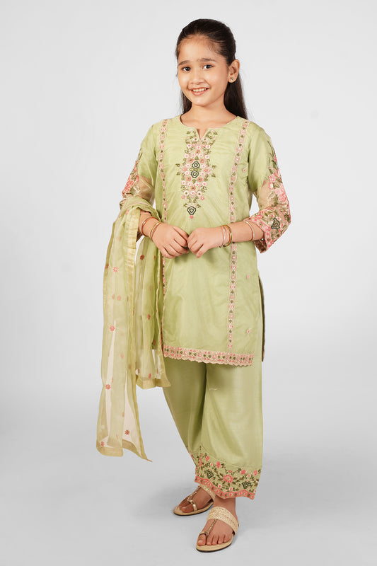 Greenish Beige Embroidered 3-Piece Suit RTWFDS-007