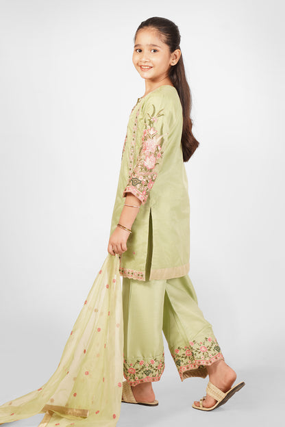Greenish Beige Embroidered 3-Piece Suit RTWFDS-007