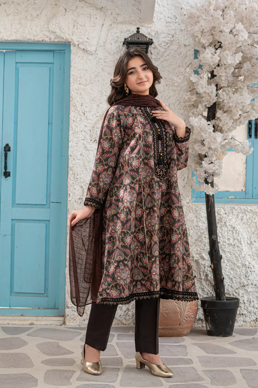 Dark Brown Embroidered Cotton Lawn Panel Frock 3 Piece Suit T-ALP-EMB-019